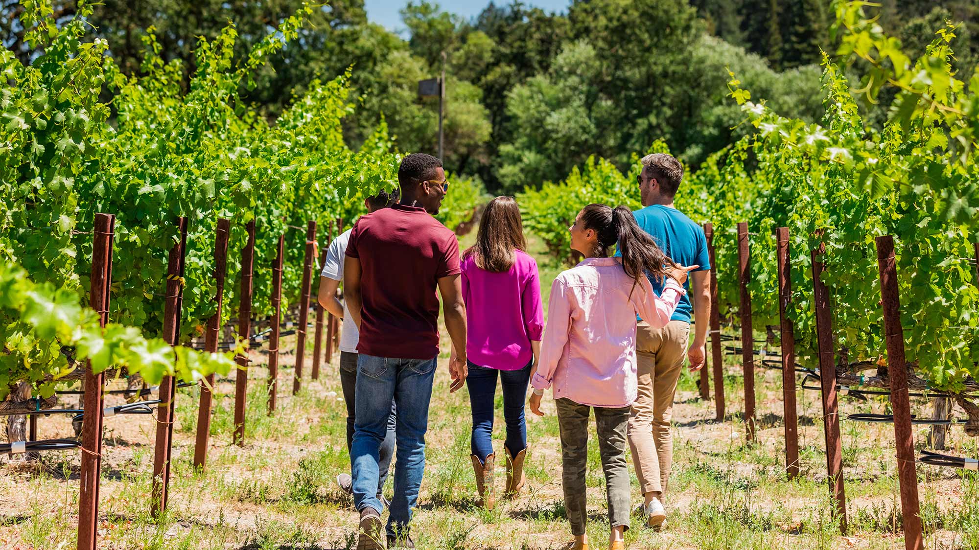 Twomey Visitors walking through the vineyard