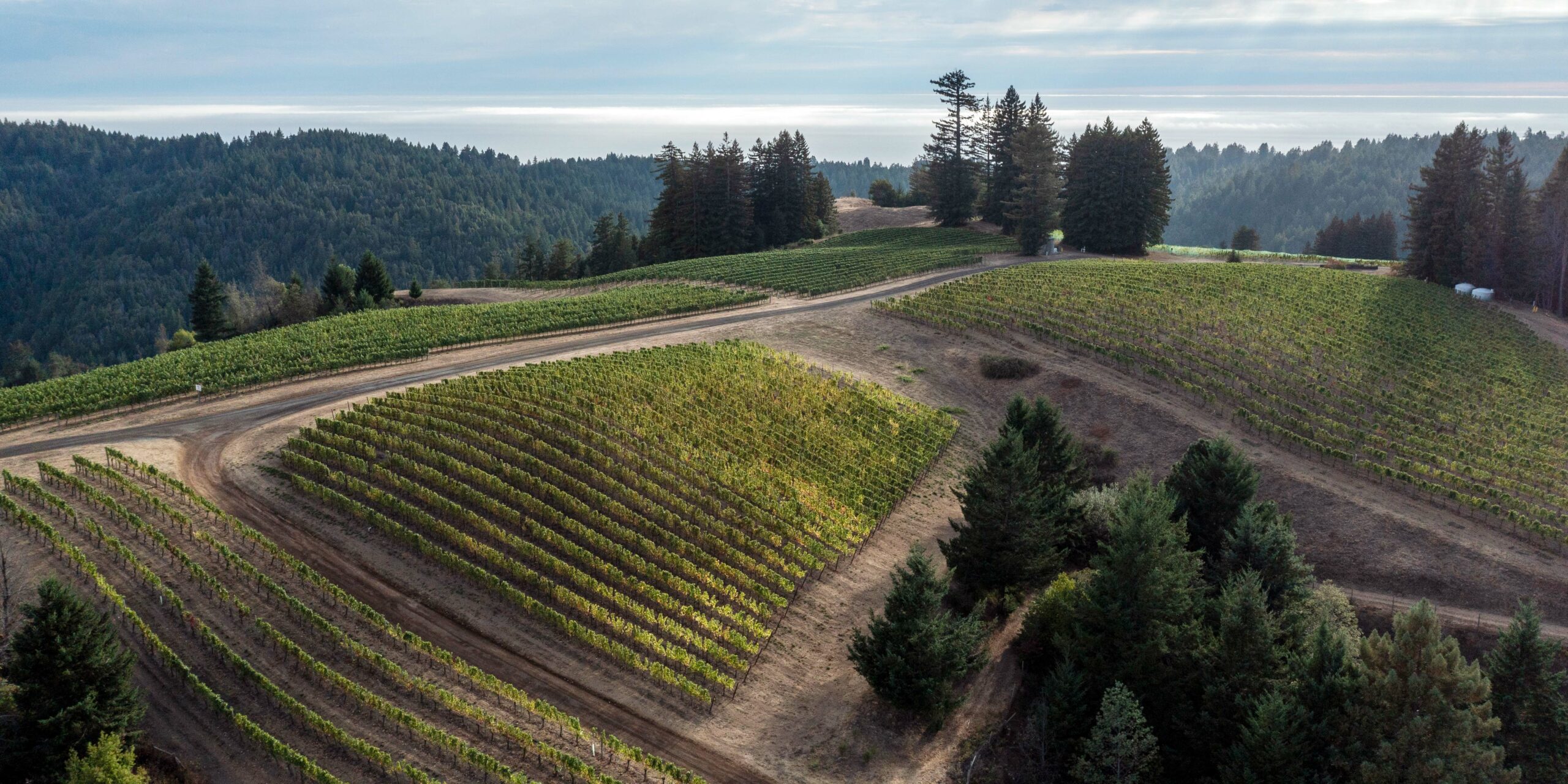 Hirsch Vineyard Twomey Cellars