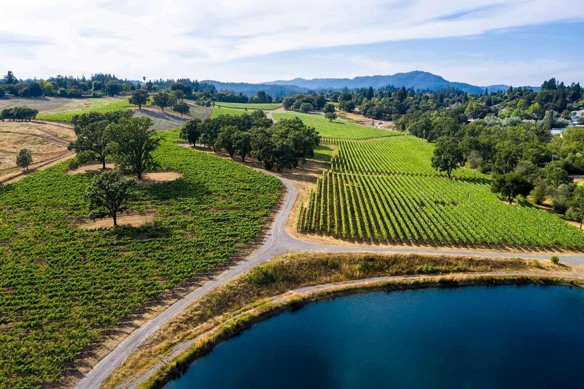 Scenic view of Last Stop Vineyard