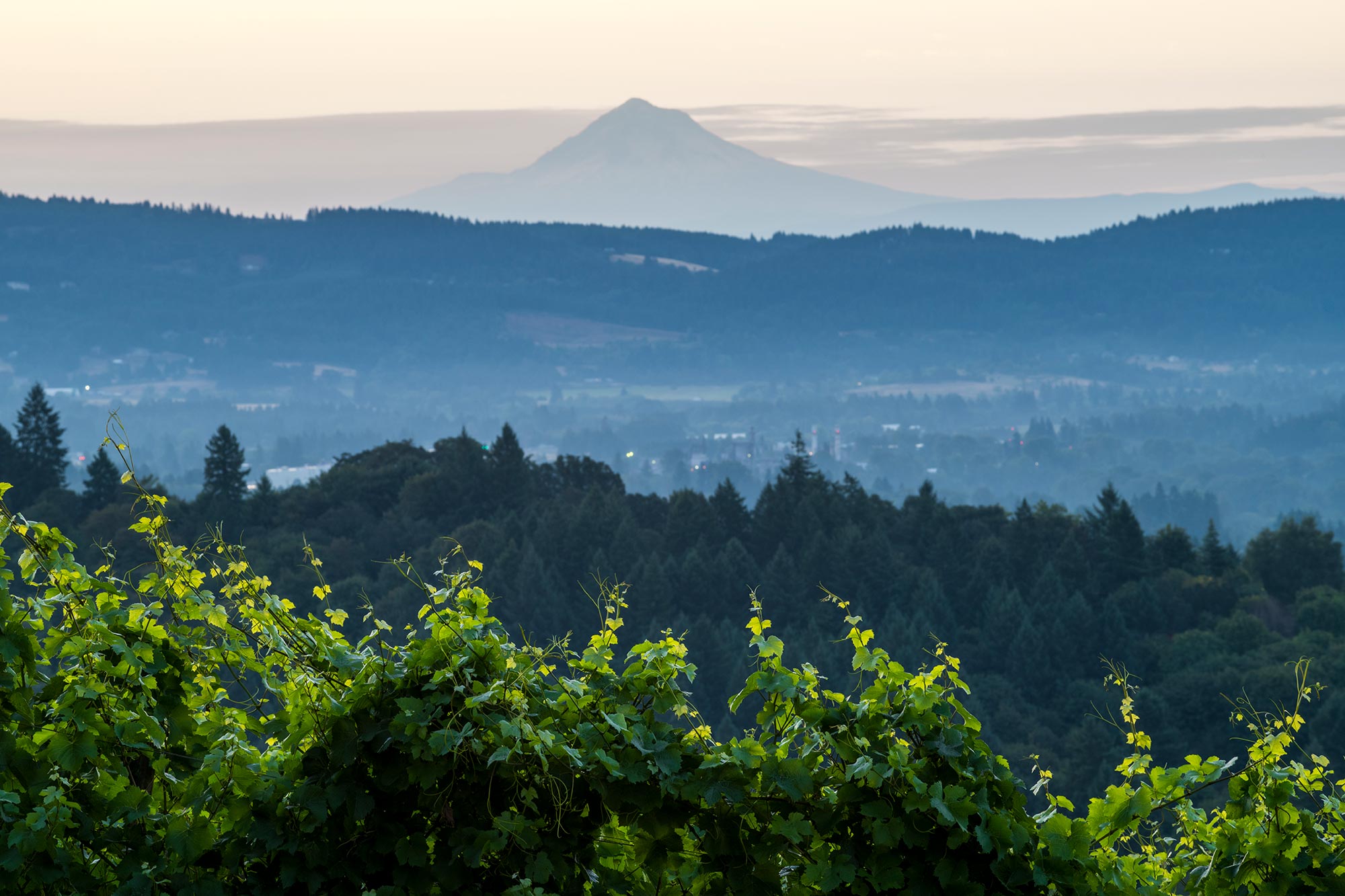 Scenic view of Prince Hill in Oregon's Dundee Hills, Willamette Valley